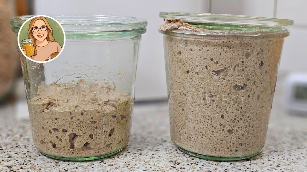 Du betrachtest gerade Brod & Taylor Sauerteig Home im Test – Temperatur für Sauerteig, Joghurt & Fermente